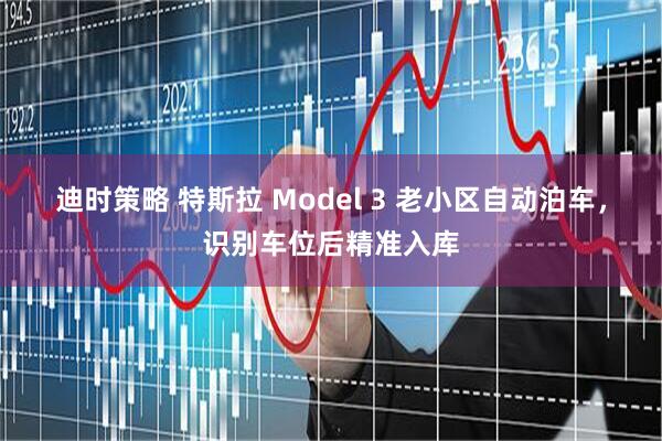 迪时策略 特斯拉 Model 3 老小区自动泊车，识别车位后精准入库