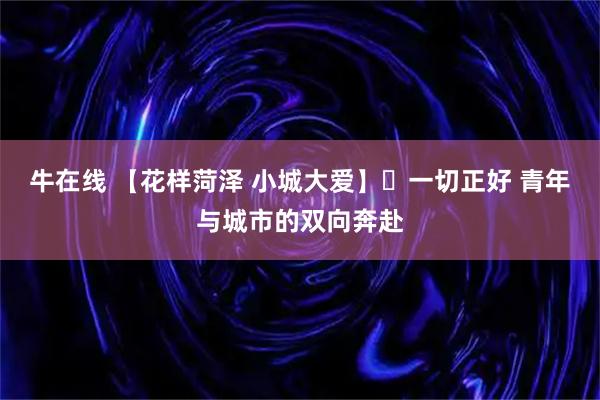 牛在线 【花样菏泽 小城大爱】⑪一切正好 青年与城市的双向奔赴