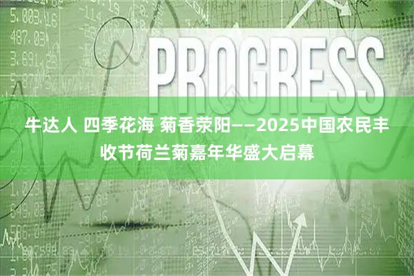 牛达人 四季花海 菊香荥阳——2025中国农民丰收节荷兰菊嘉年华盛大启幕