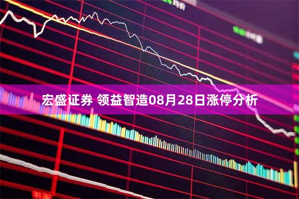 宏盛证券 领益智造08月28日涨停分析